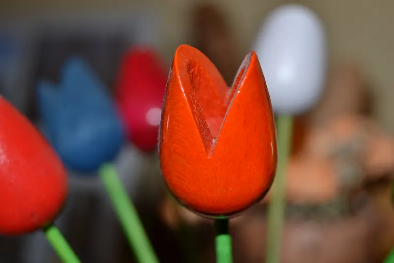 Desvariado ( Fotografías propias )