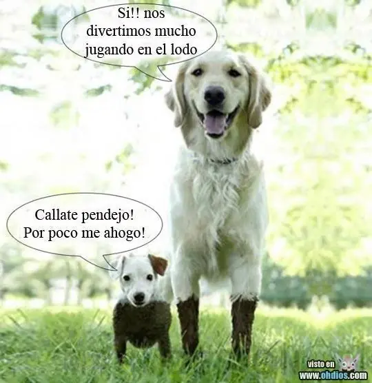 2friendslive