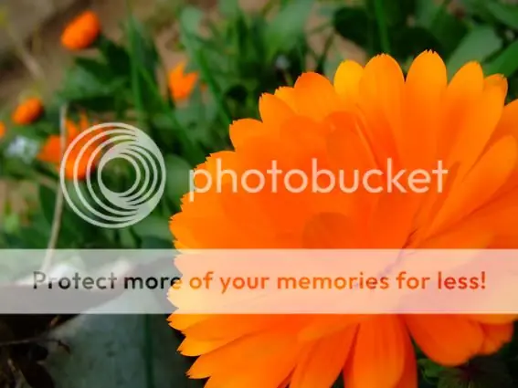 fotografía