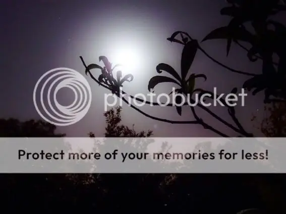 fotografía