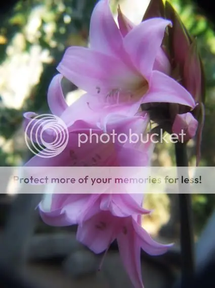 fotografía