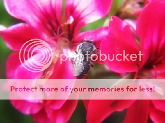 fotografía