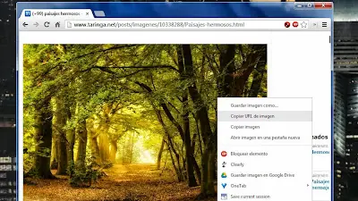Como buscar gif e imagenes en google