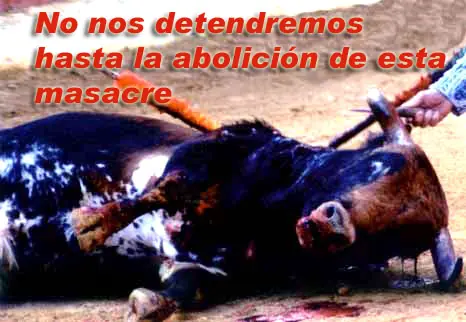 Oleee Asesino!!