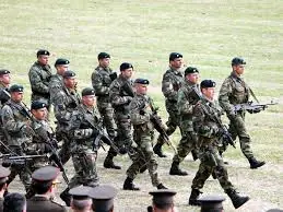 fuerzas armadas argentinas