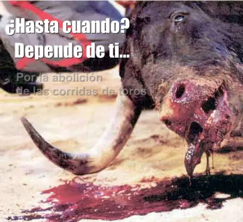 Digan NO a la corrida de toros
