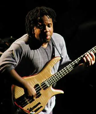guitarristas