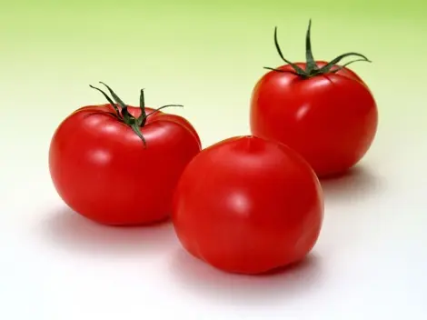hortaliza