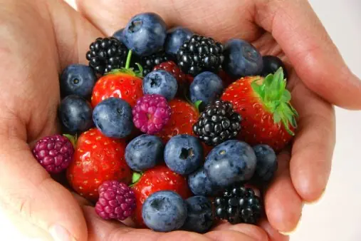alimentos