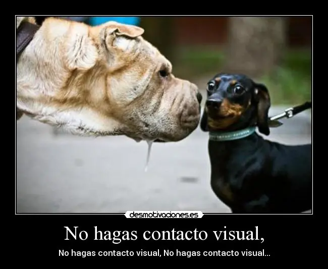 algunas desmotivaciones y gifs!!