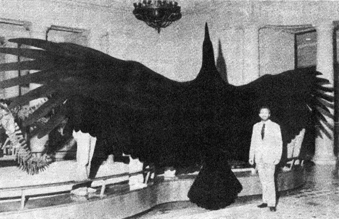 Premios al reino animal