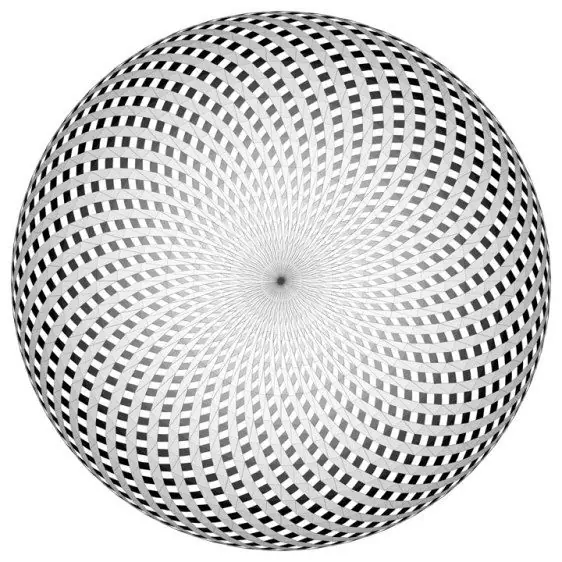 Nassim Haramein Teoría Unificada del todo