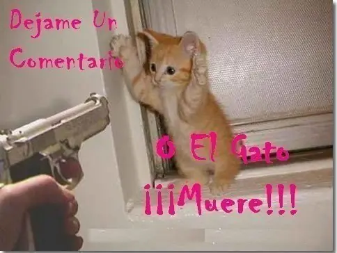 humor