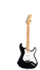 Robert