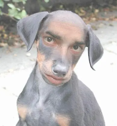 Le tenes Bronca a Tu Pc - Mira esto es re Gracioso xD