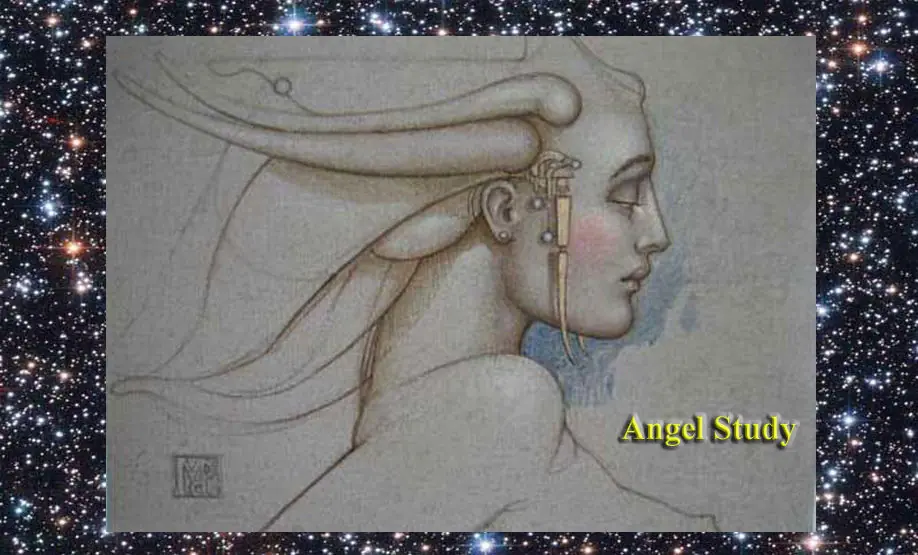 michael parkes