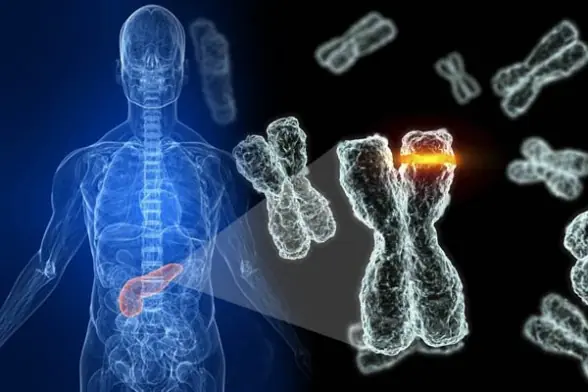 Un estilo de vida saludable mejora el ADN