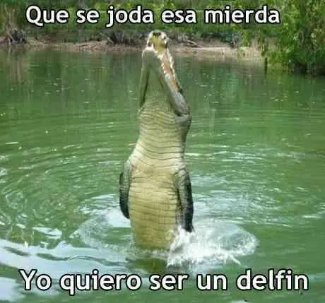 +10 si te hice reir un rato :D
