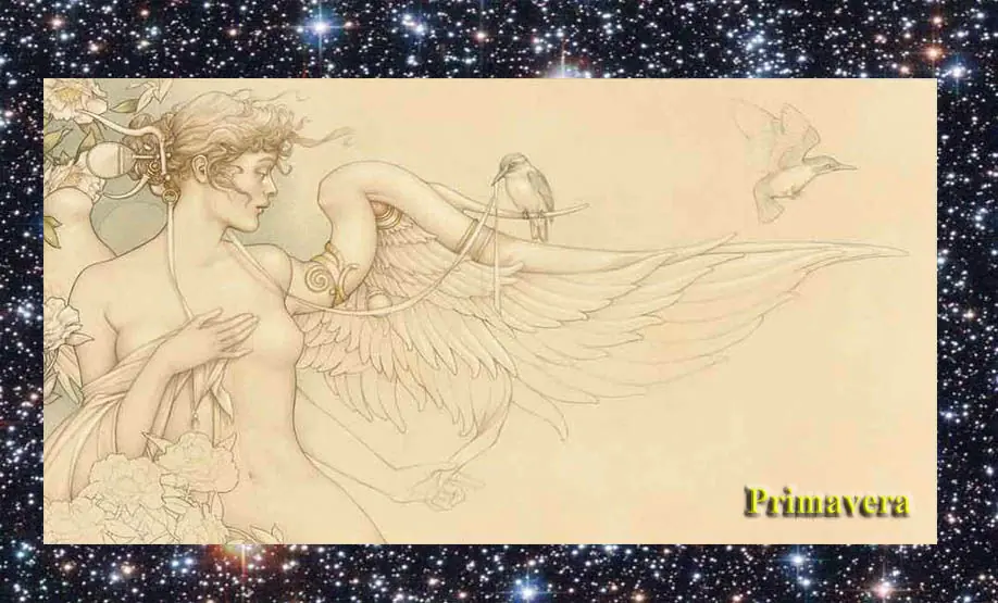 michael parkes