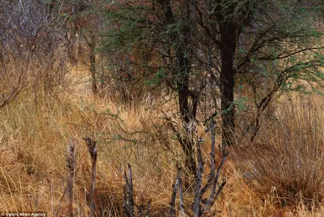 naturaleza
