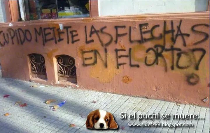 humor