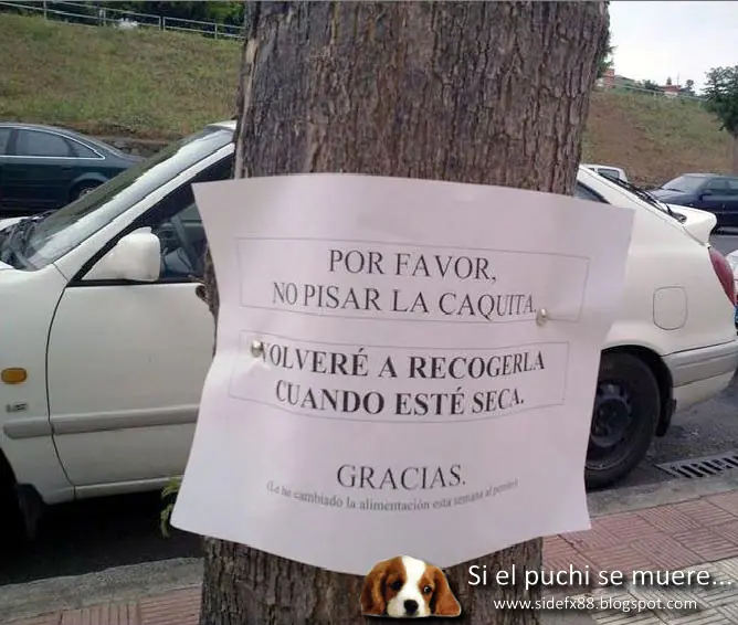humor