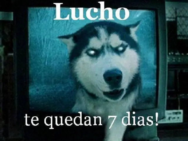 entretenido