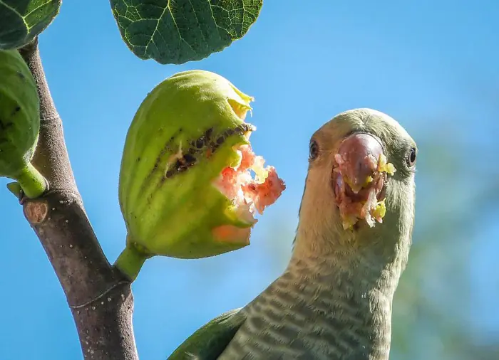 Arte fotográfico en T!, de parte de nuestros artistas