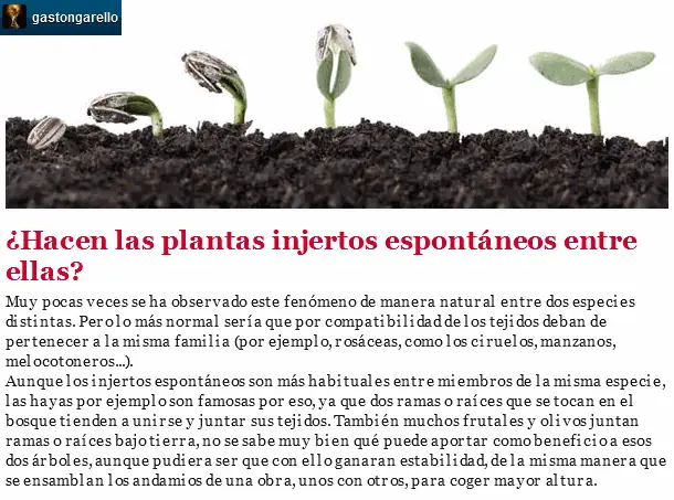 Presumes ser naturalista y no sabías todo esto?