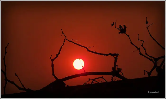 fotografía