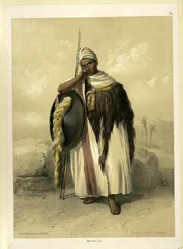 estampa