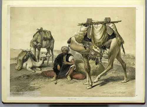 Estampas del valle del Nilo en 1851