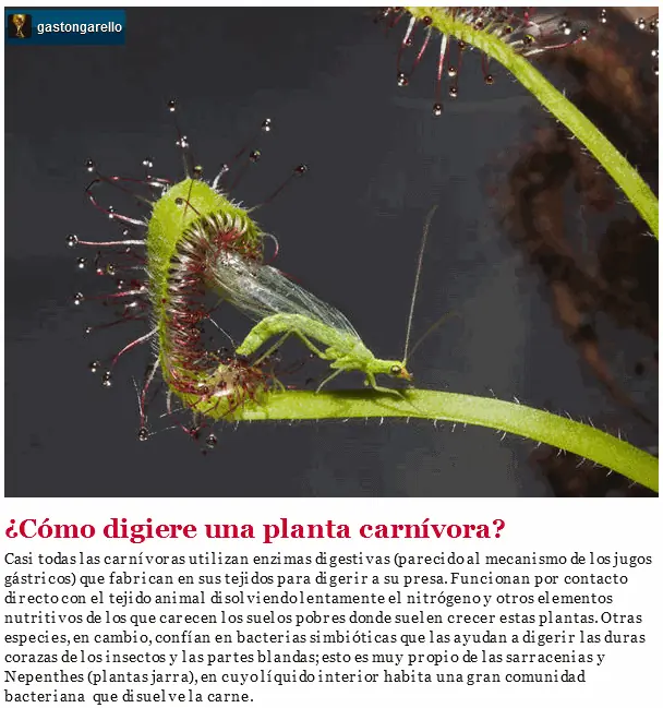 Presumes ser naturalista y no sabías todo esto?