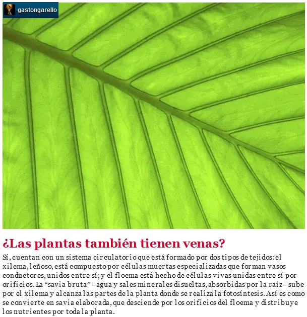 presumes