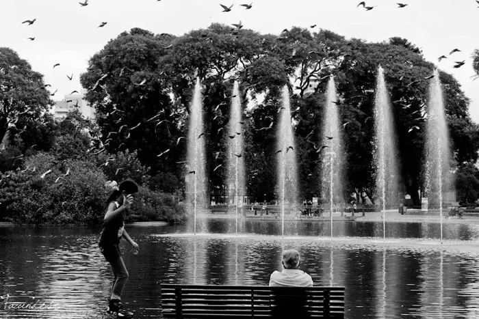 Arte fotográfico en T!, de parte de nuestros artistas