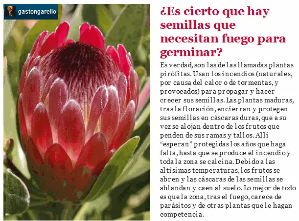 Presumes ser naturalista y no sabías todo esto?