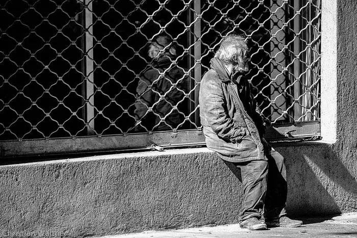 Día del fotografo