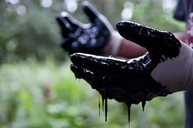 El Desastre de Chevron en Ecuador (video explicativo)