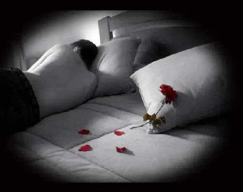 amor