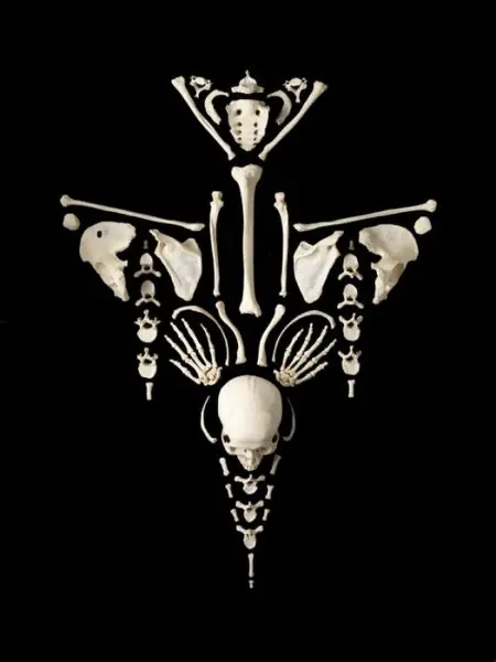 ¿no sabes que hacer cuando mueras? mira