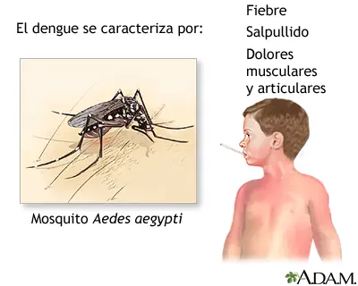 "La lucha contra el dengue es responsabilidad de tod