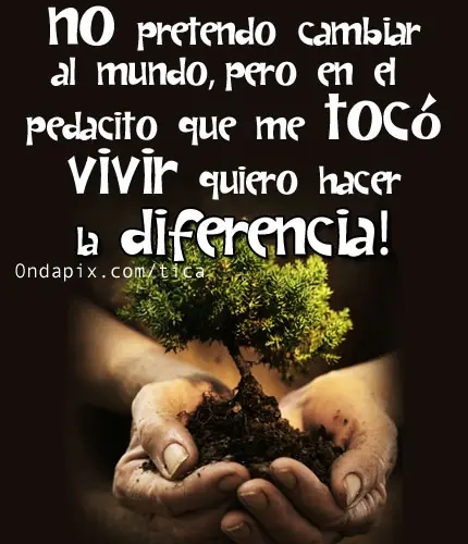 calidad