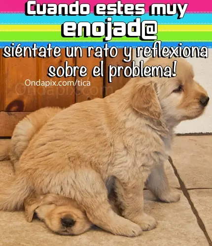 vivir