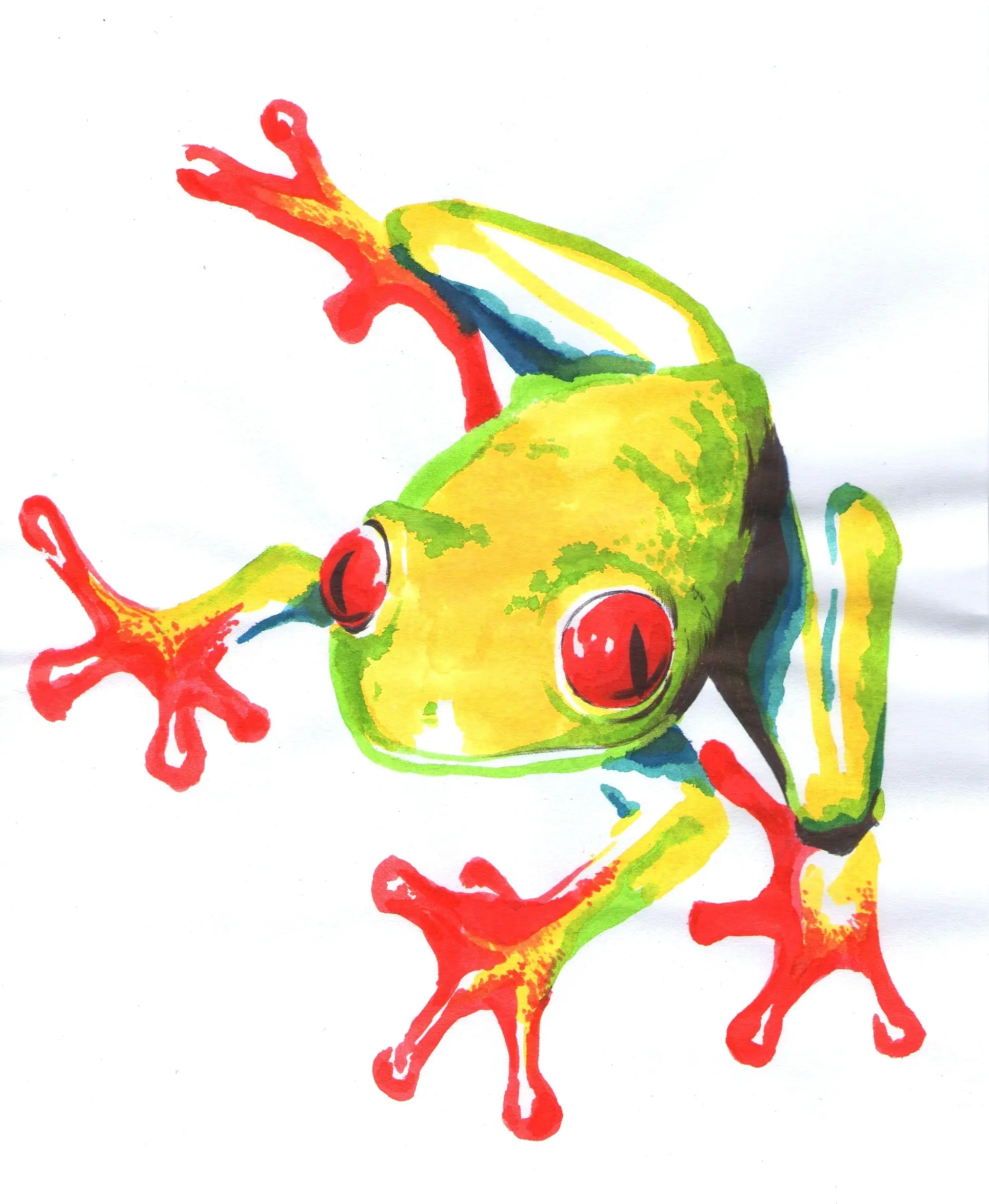 Dibujo