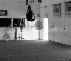Gifs