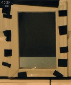 Los gifs de la mañana