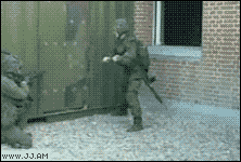 Los gifs de la mañana