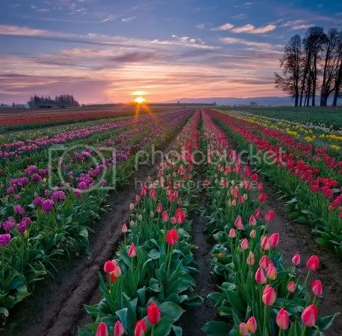 Poema Propio, El porque no sufrir ante la muerte