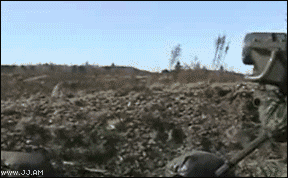 Gifs