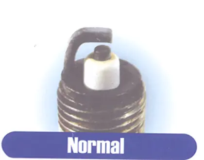 interpretacion
